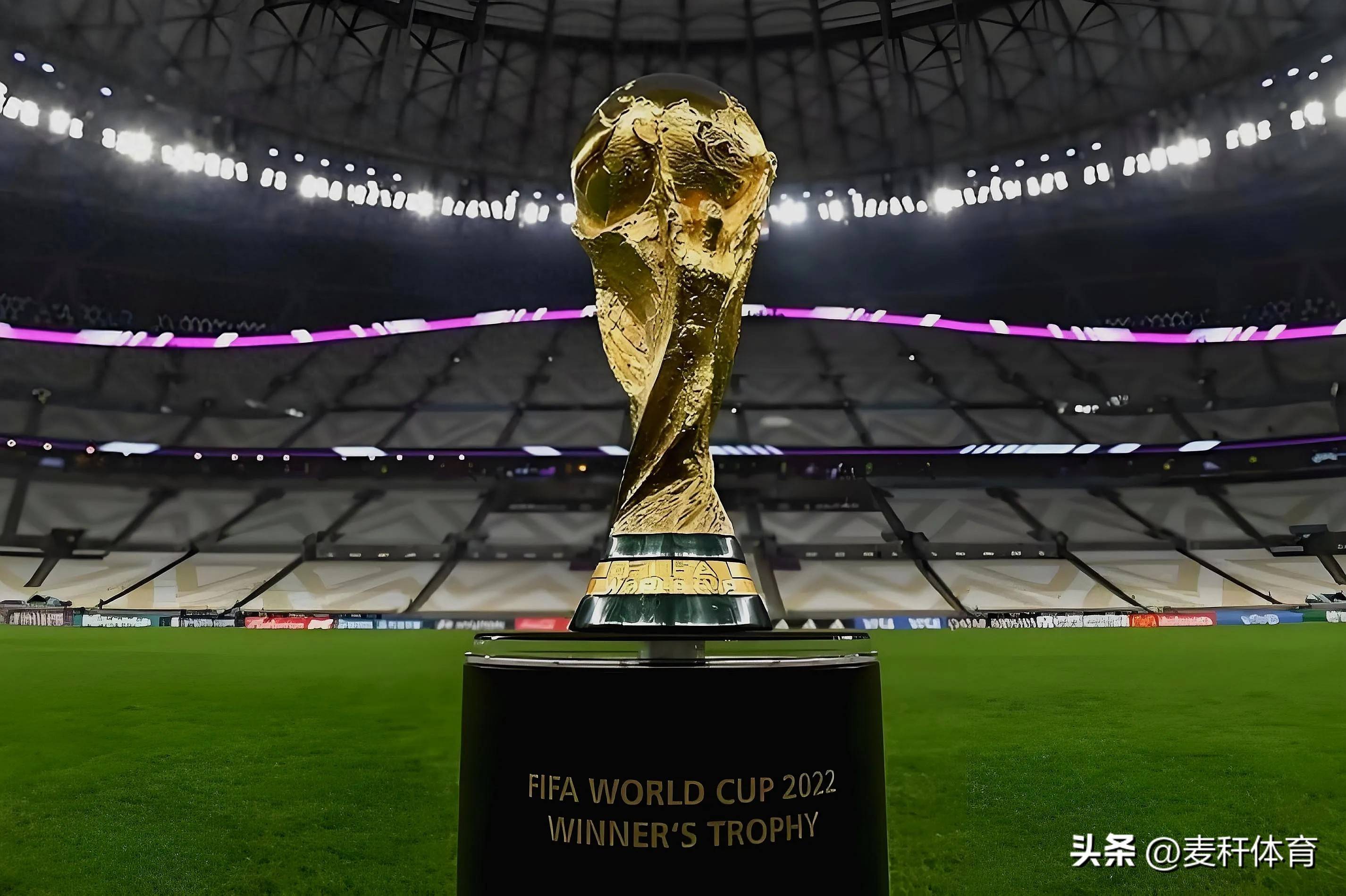 的表现和多 的表现和多