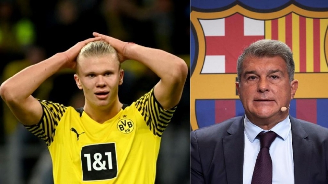 续也需被看 续也需被看